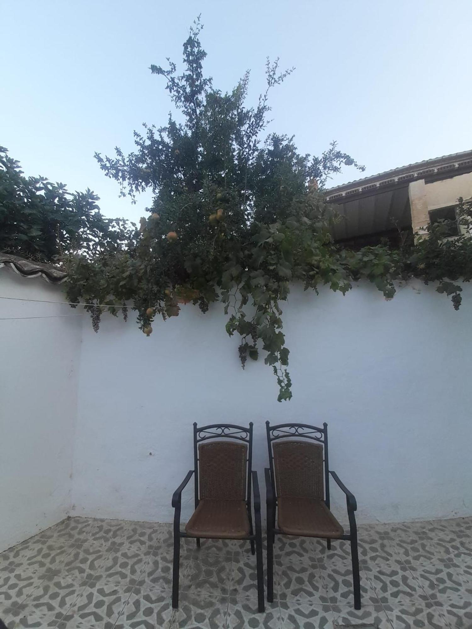 Willa El Molino De Aceite Baeza Zewnętrze zdjęcie