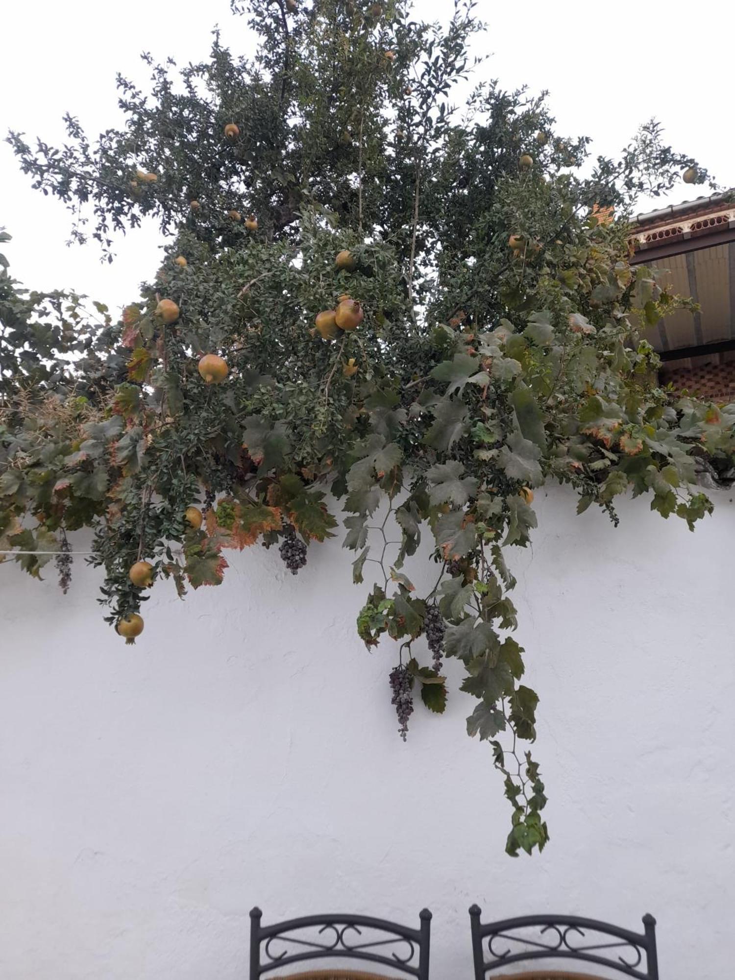 Willa El Molino De Aceite Baeza Zewnętrze zdjęcie